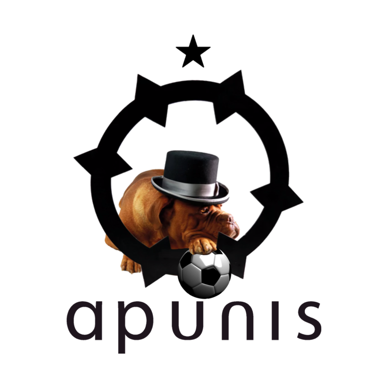 APUNIS